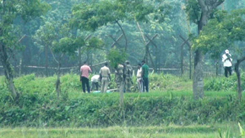 কুটিপাড় সীমান্তে বিএসএফের গুলিতে বাংলাদেশি যুবক আহত