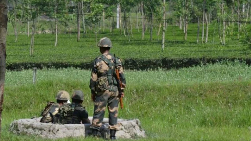 বাংলাদেশি যুবককে ধরে নিয়ে গেছে বিএসএফ