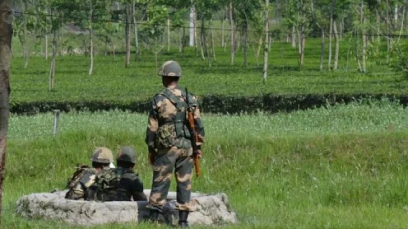 বাংলাদেশি যুবককে ধরে নিয়ে গেল বিএসএফ