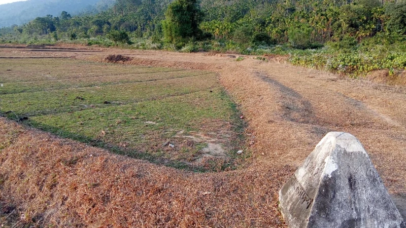 ভারতীয় খাসিয়ার গুলিতে বাংলাদেশির মৃত্যু